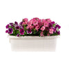 Bama Fioriadera Bloem-Balkonbak 60x20x18,5 cm blanc
