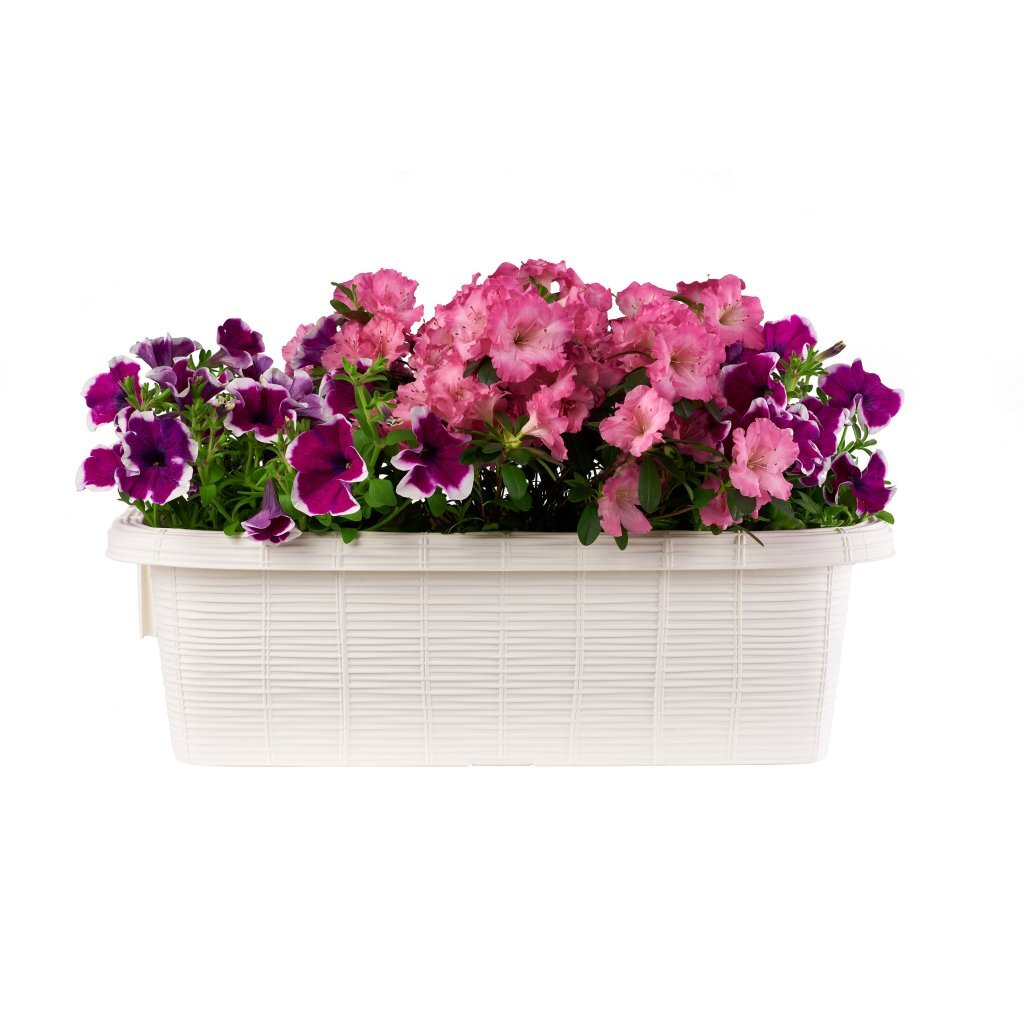 Bama Fioriadera Bloem-Balkonbak 60x20x18,5 cm blanc