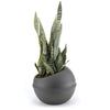 Bama Sfera Bloempot 23l 40,5x32 cm anthracite