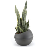 Bama Sfera Bloempot 23l 40,5x32 cm anthracite - afbeelding 2