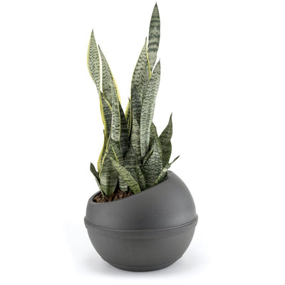 Bama Sfera Bloempot 23l 40,5x32 cm anthracite
