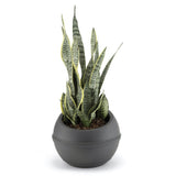 Bama Sfera Bloempot 23l 40,5x32 cm anthracite - afbeelding 3