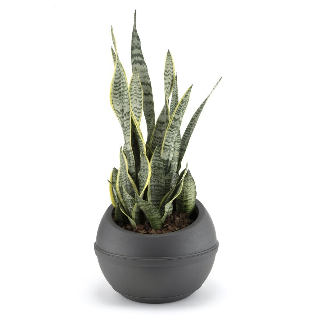 Bama Sfera Bloempot 23l 40,5x32 cm anthracite