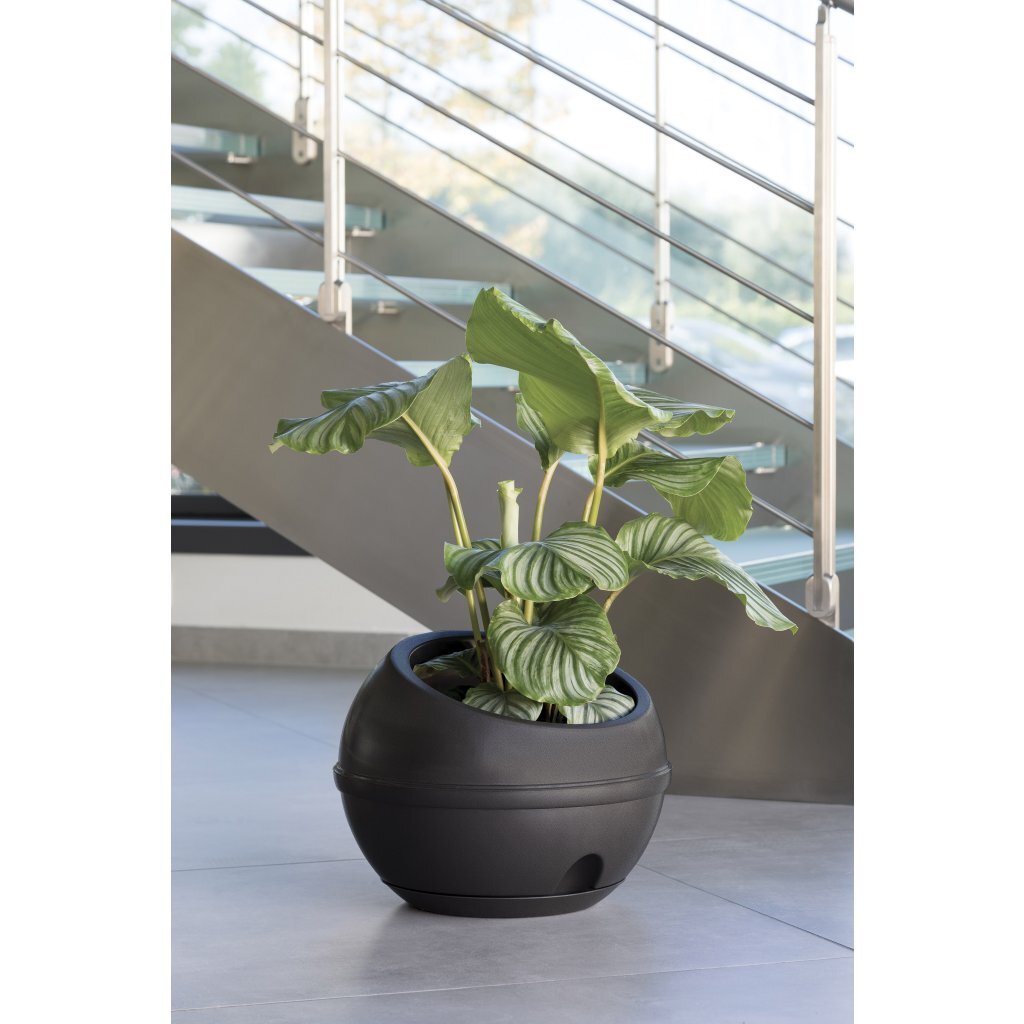 Bama Sfera Bloempot 23l 40,5x32 cm anthracite