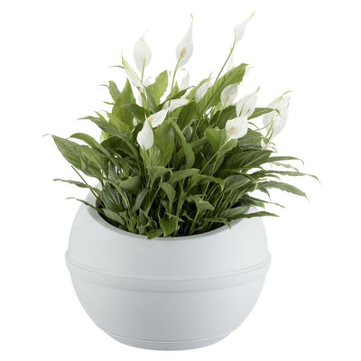 Bama Sfera Bloempot 23l 40,5x32 cm blanc