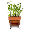 Bama Orto di Kit Planteurs 80x74x73 cm en terre cuite