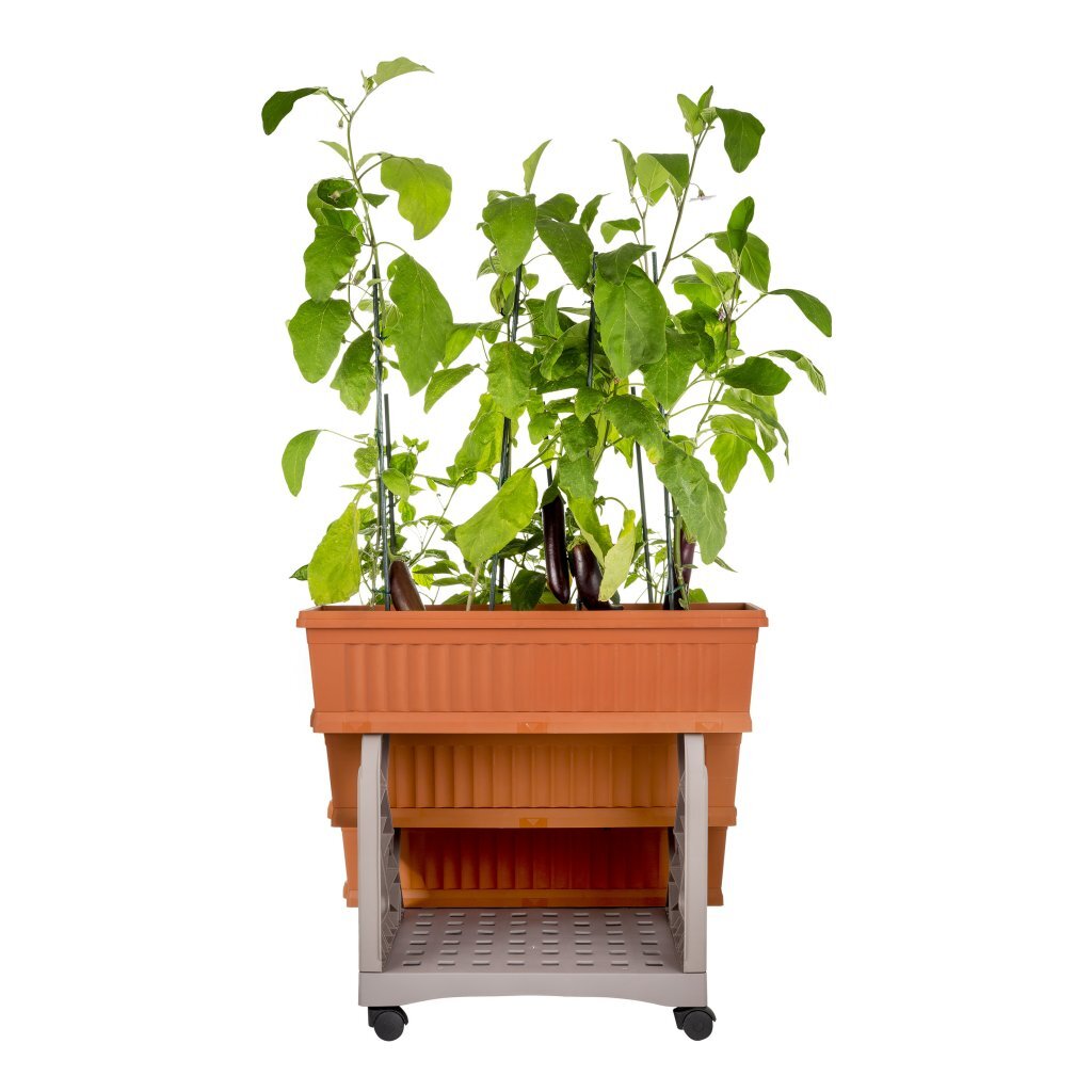 Bama Orto di Kit Planteurs 80x74x73 cm en terre cuite