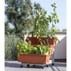Bama Orto di Kit Planteurs 80x74x73 cm en terre cuite