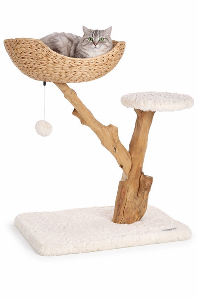 Arbre à chat Flamingo – ligne design Carlito – arbre à chat – meuble à gratter – arbre à chat design – 74,5x42x78 cm – beige