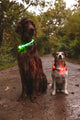 Flamingo visio leora - collier chiens - collier led leora vert 33-63.5cm 8mm - 1pc - 127009 - 1pc