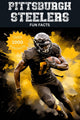 Faits amusants sur les Steelers de Pittsburgh