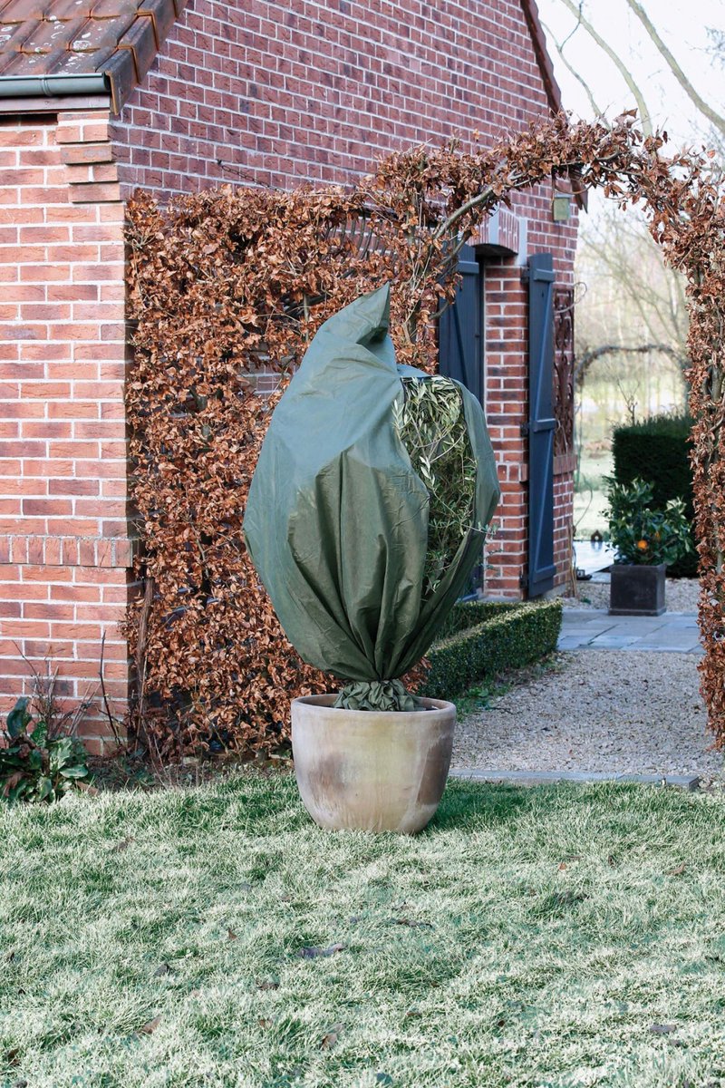 Nature Nature Couverture d'hiver 70 g m² 2,5x3 m vert