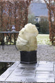 Couverture d'hiver de la nature avec cordon, pour les plantes 1,50 m x Ø