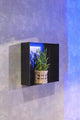 Niche à encastrer Looox color box - 30x30x10cm - acier inoxydable noir mat