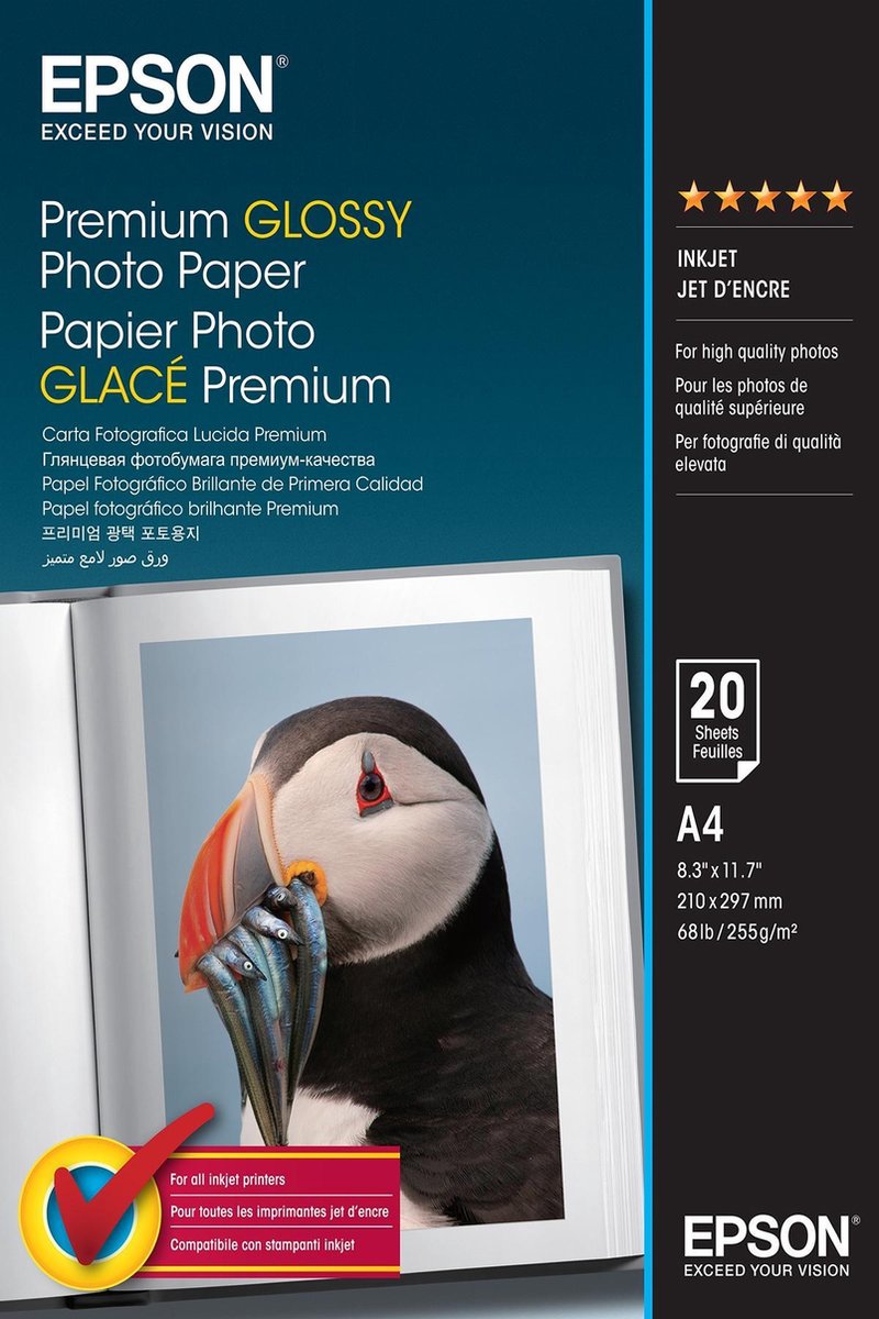 Epson, papier photo premium a4 c13s041287