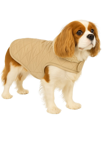 Manteau pour chien Flamingo – Bonnie – manteau pour chien – vestes d'hiver pour chien – manteau imperméable pour chien – 40 cm – a:40cm b:34-40cm c:54-60cm – beige