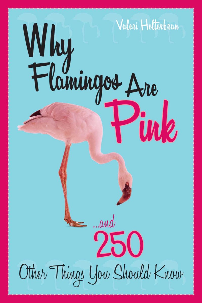 Pourquoi les flamants roses sont roses