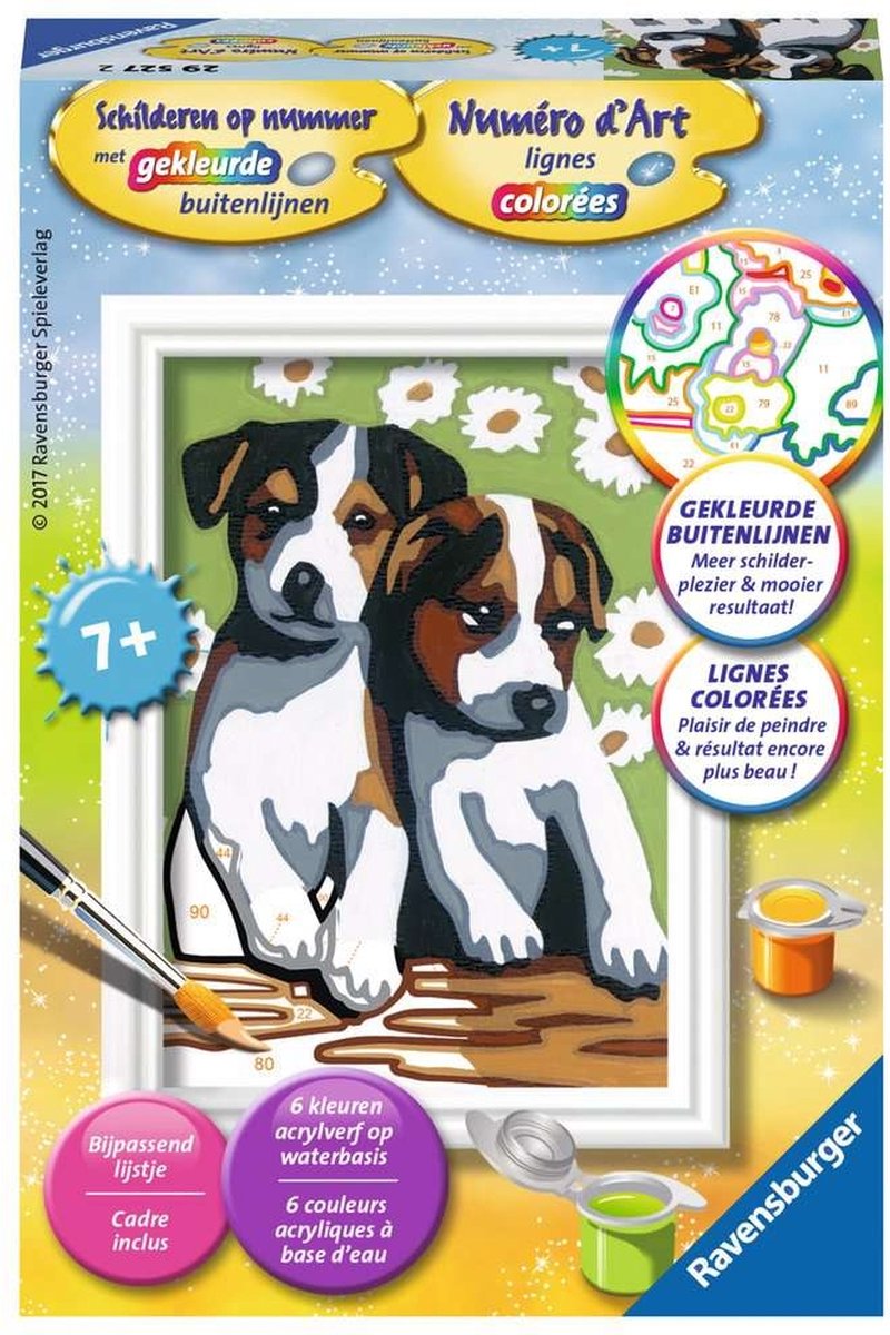 Peinture par numéro - chiots mignons
