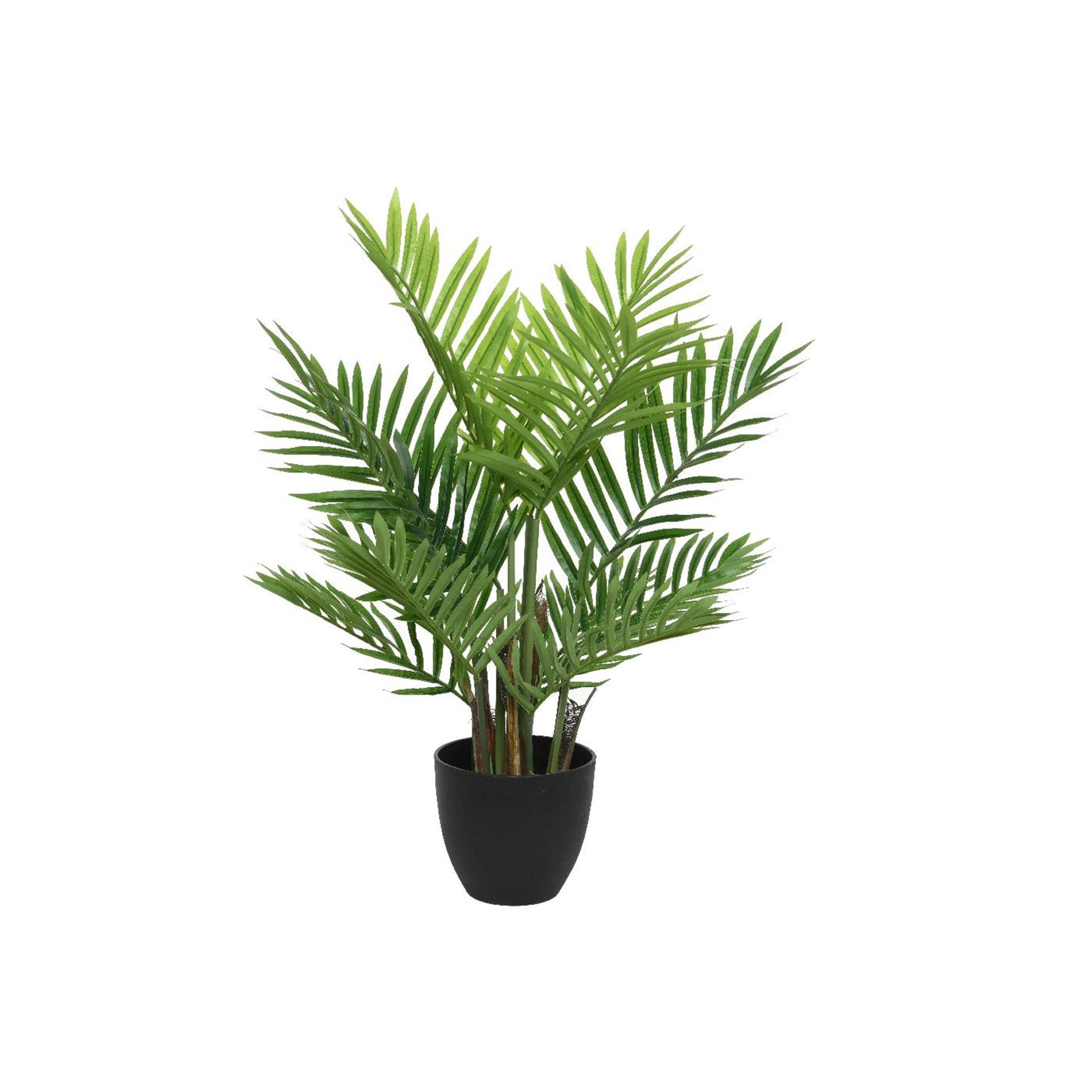 Palmier Decoris en pot 61x61x73cm