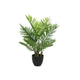 Palmier Decoris en pot 61x61x73cm