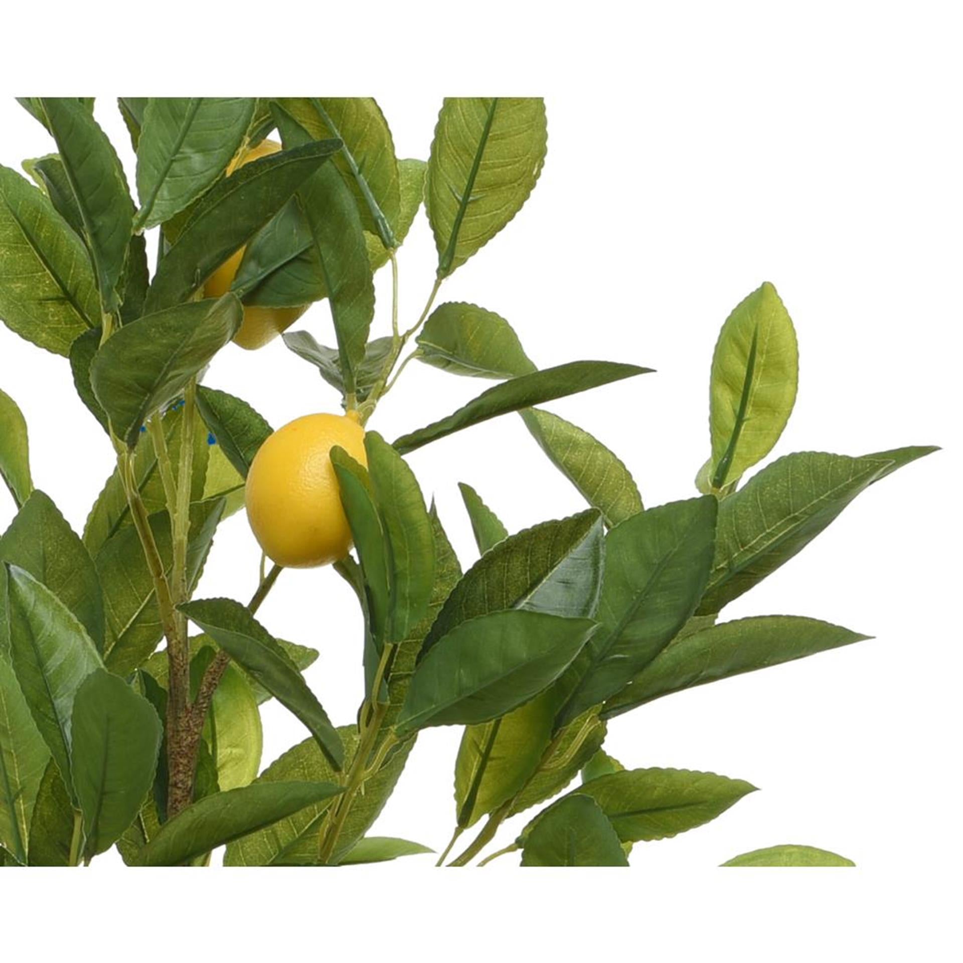 Decoris plante artificielle citron 35x25x92cm