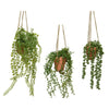 Plante artificielle suspendue Decoris en pot h40cm 3 assortis
