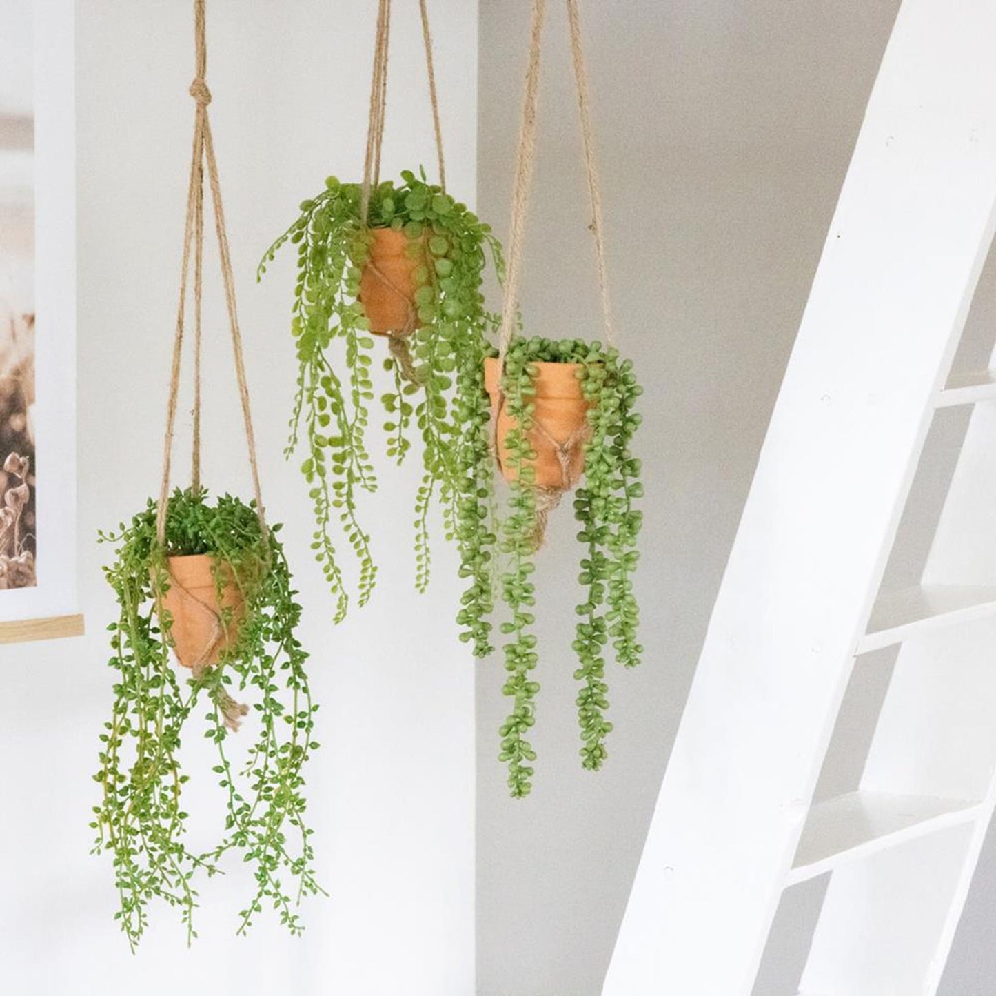 Plante artificielle suspendue Decoris en pot h40cm 3 assortis