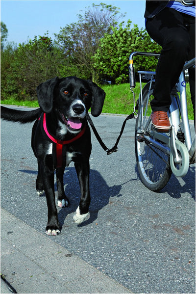 Trixie Bikerset Bicycle Bracket Springer