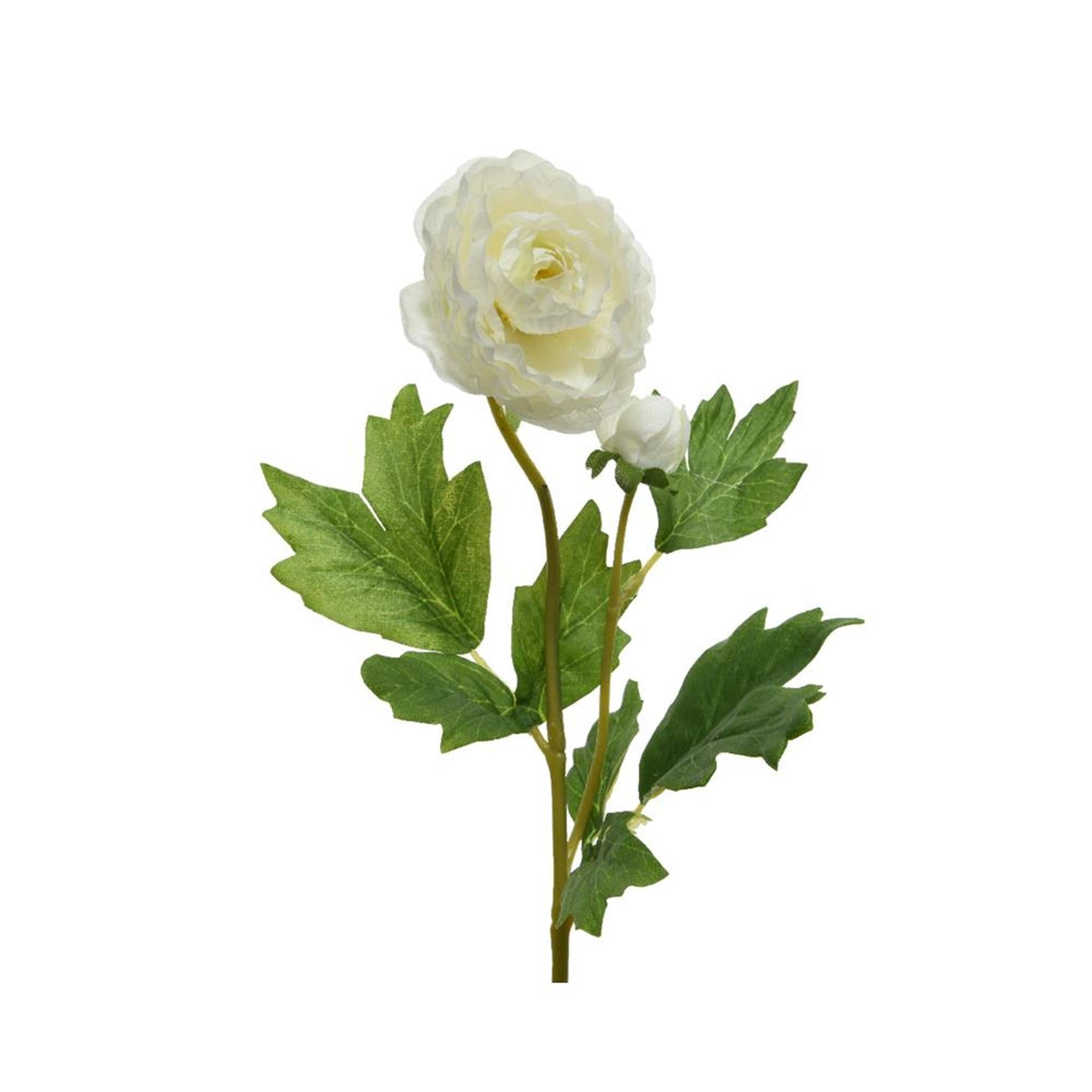 Decoris renoncule h57cm blanc
