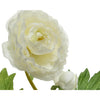 Decoris renoncule h57cm blanc