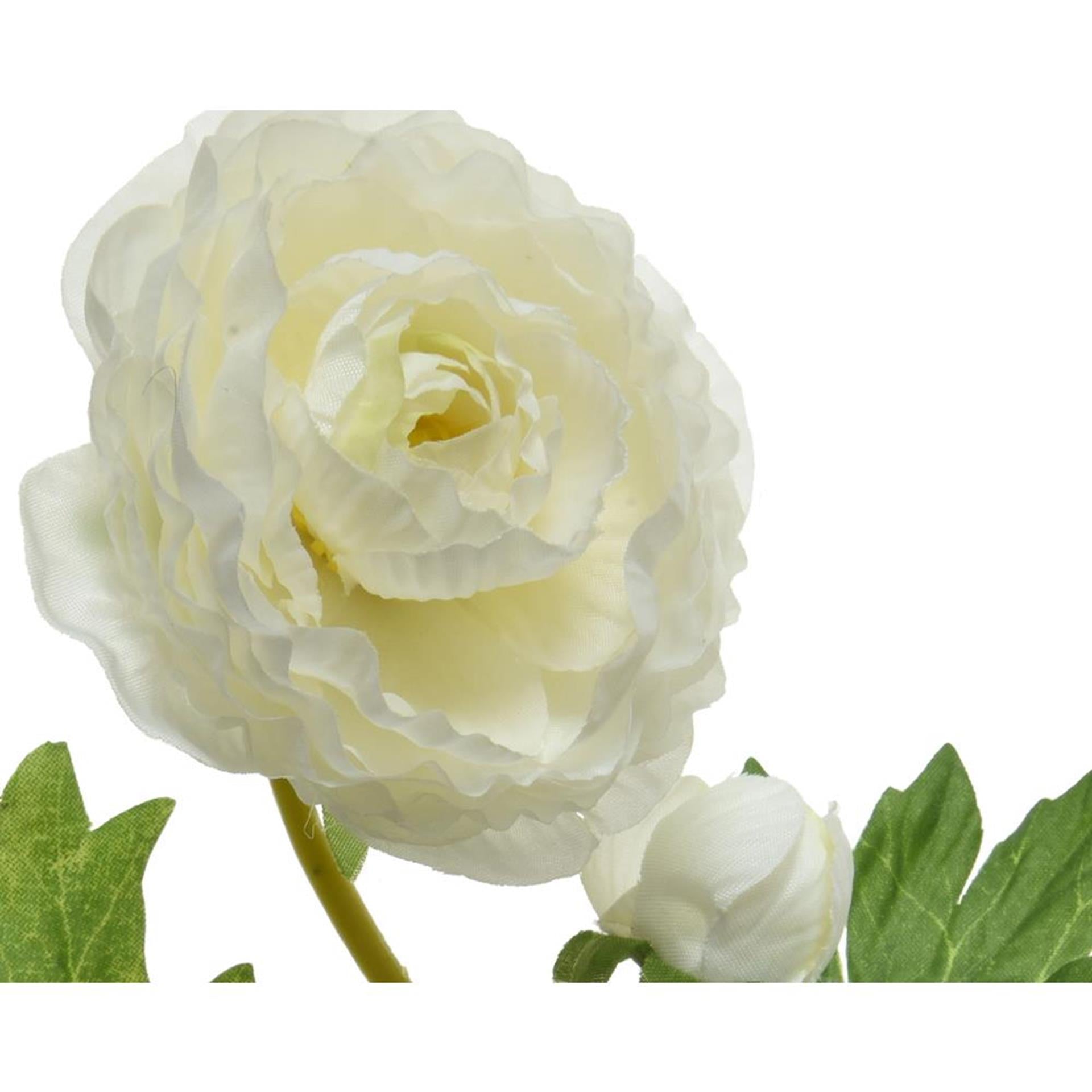 Decoris renoncule h57cm blanc