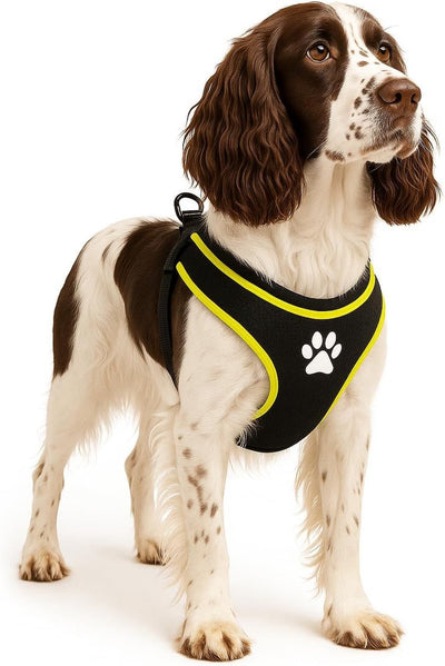 Harnais pour chien Flamingo – harnais pour chien – harnais pour chien anti-traction – harnais pour chien – harnais pour chien anti-traction – step go tasha – noir – taille l – a:58cm l:75-95cm x 20mm x 5mm