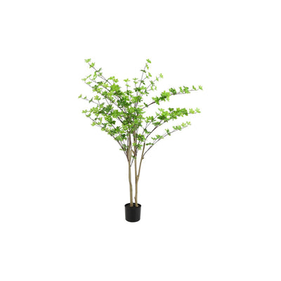 Dysosme des plantes Countryfield m vert