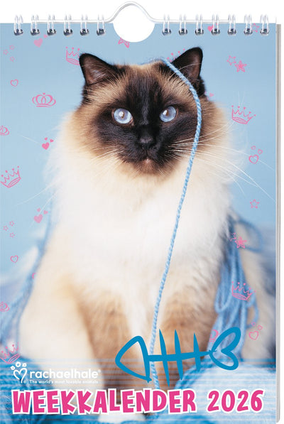 Calendrier hebdomadaire des chats Interstat Rachael Hale 2026