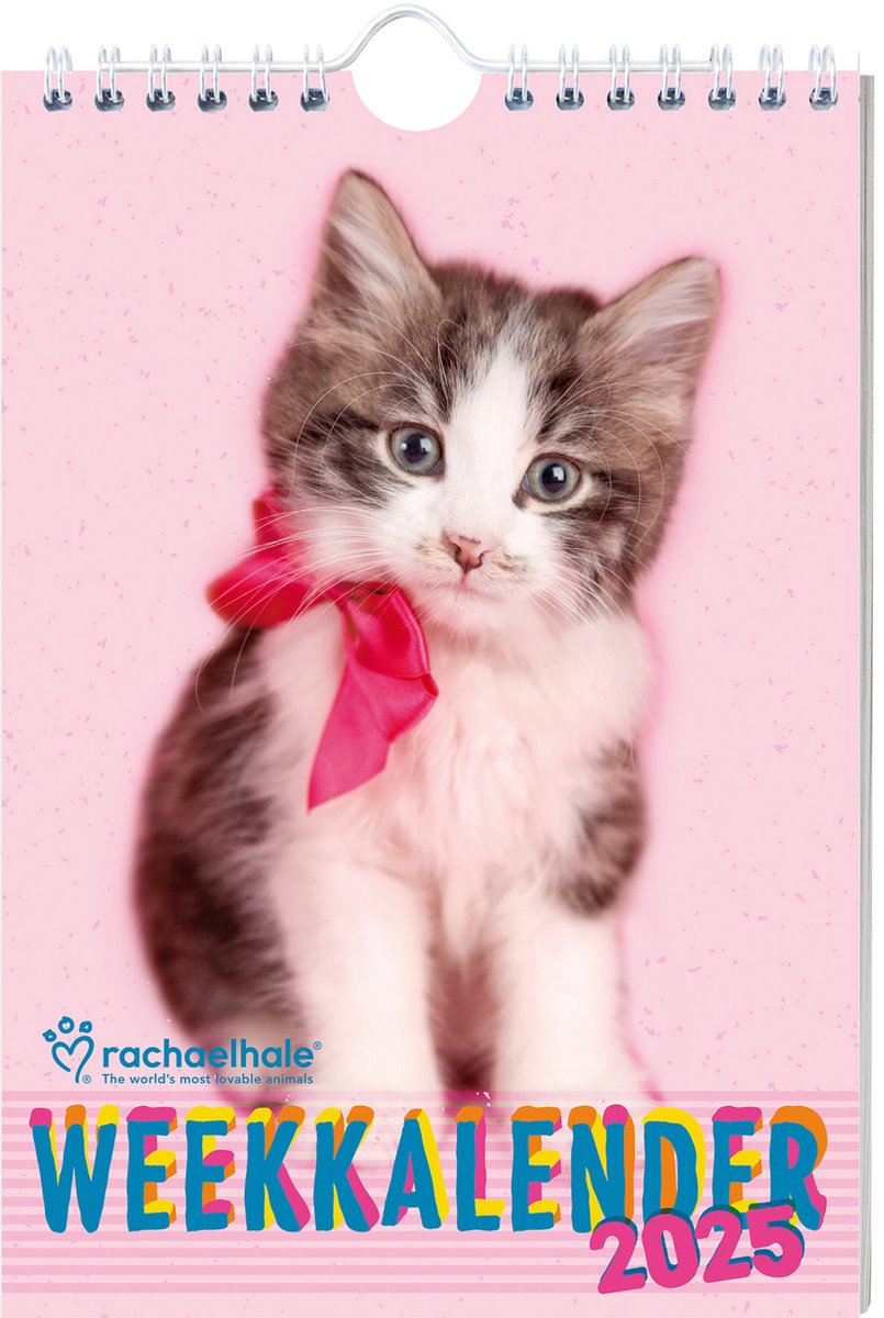 Calendrier hebdomadaire Interstat - 2025 - Rachael Hale - chats