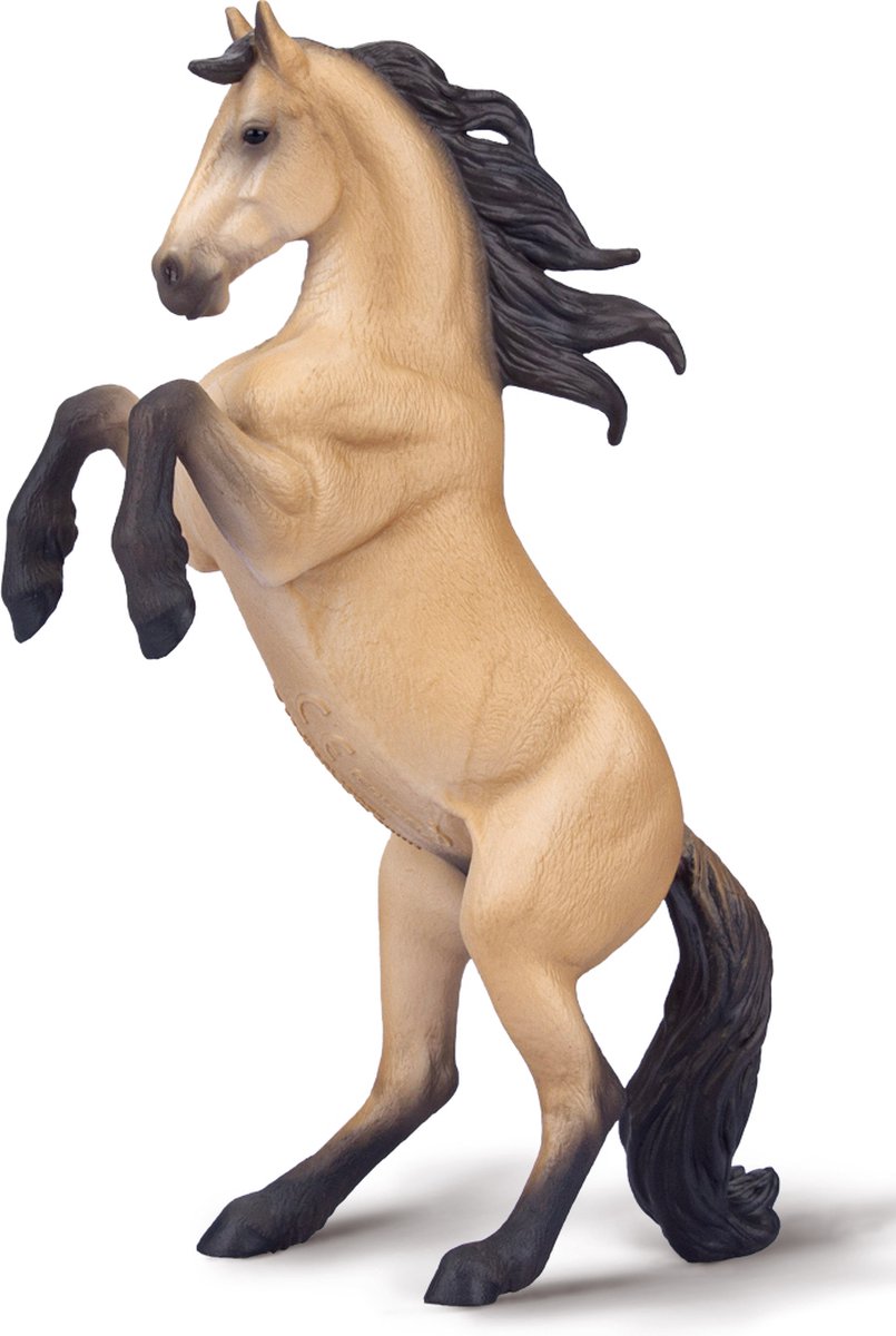 Collecta