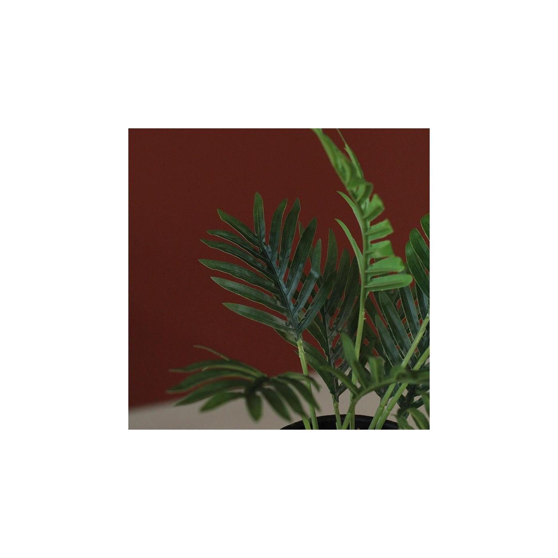 Countryfield plante artificielle areca vert 23xh30cm