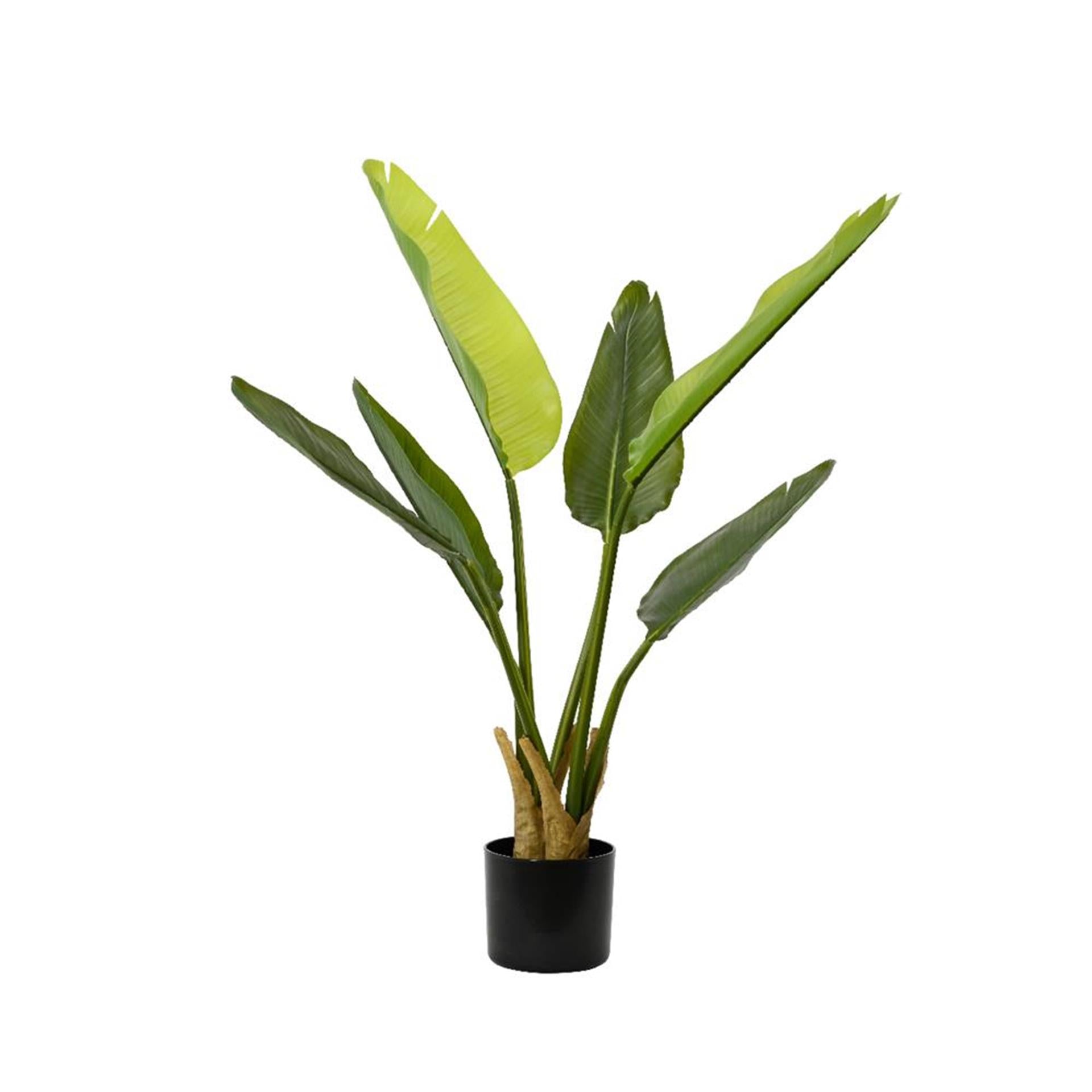 Decoris plante artificielle strelitzia h90cm