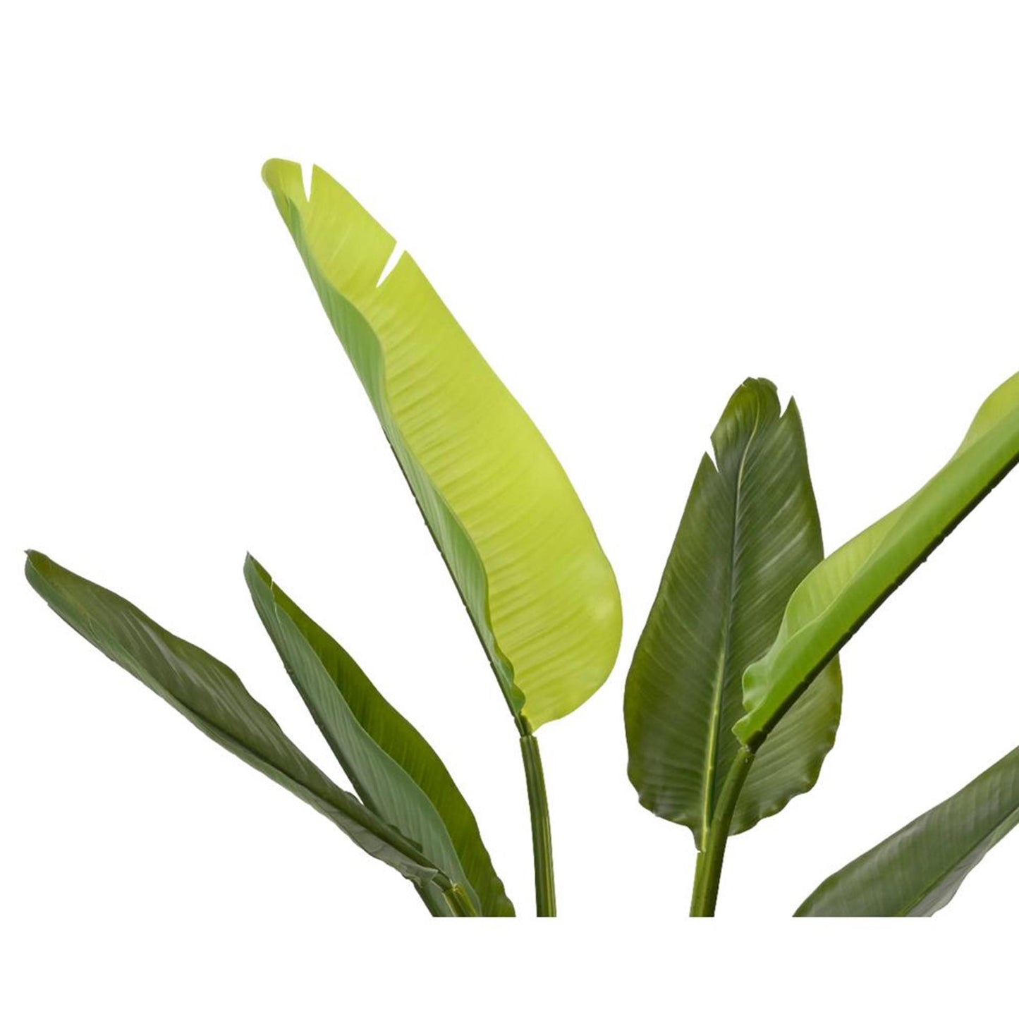 Decoris plante artificielle strelitzia h90cm