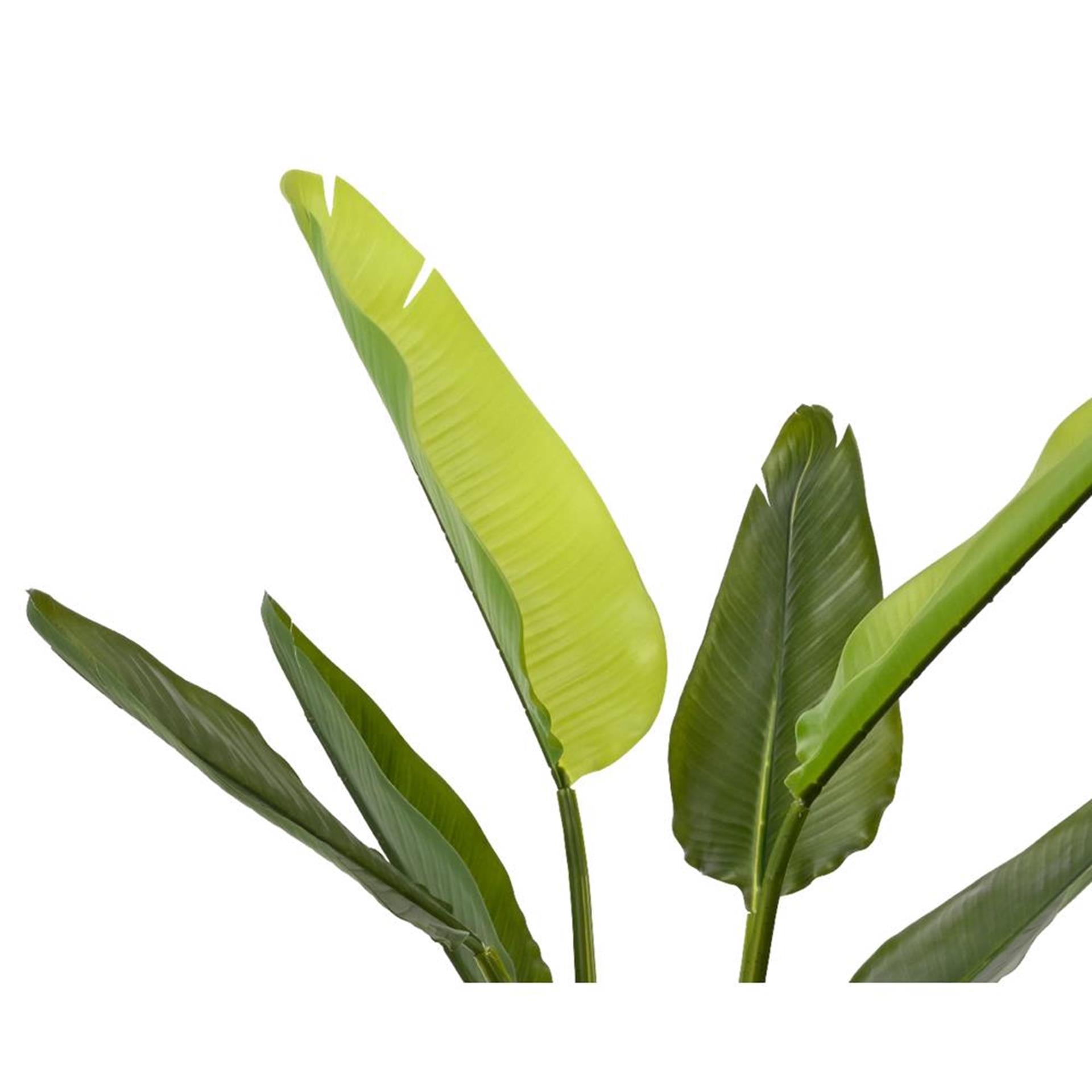 Decoris plante artificielle strelitzia h90cm