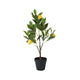 Decoris plante artificielle citronnier h60cm