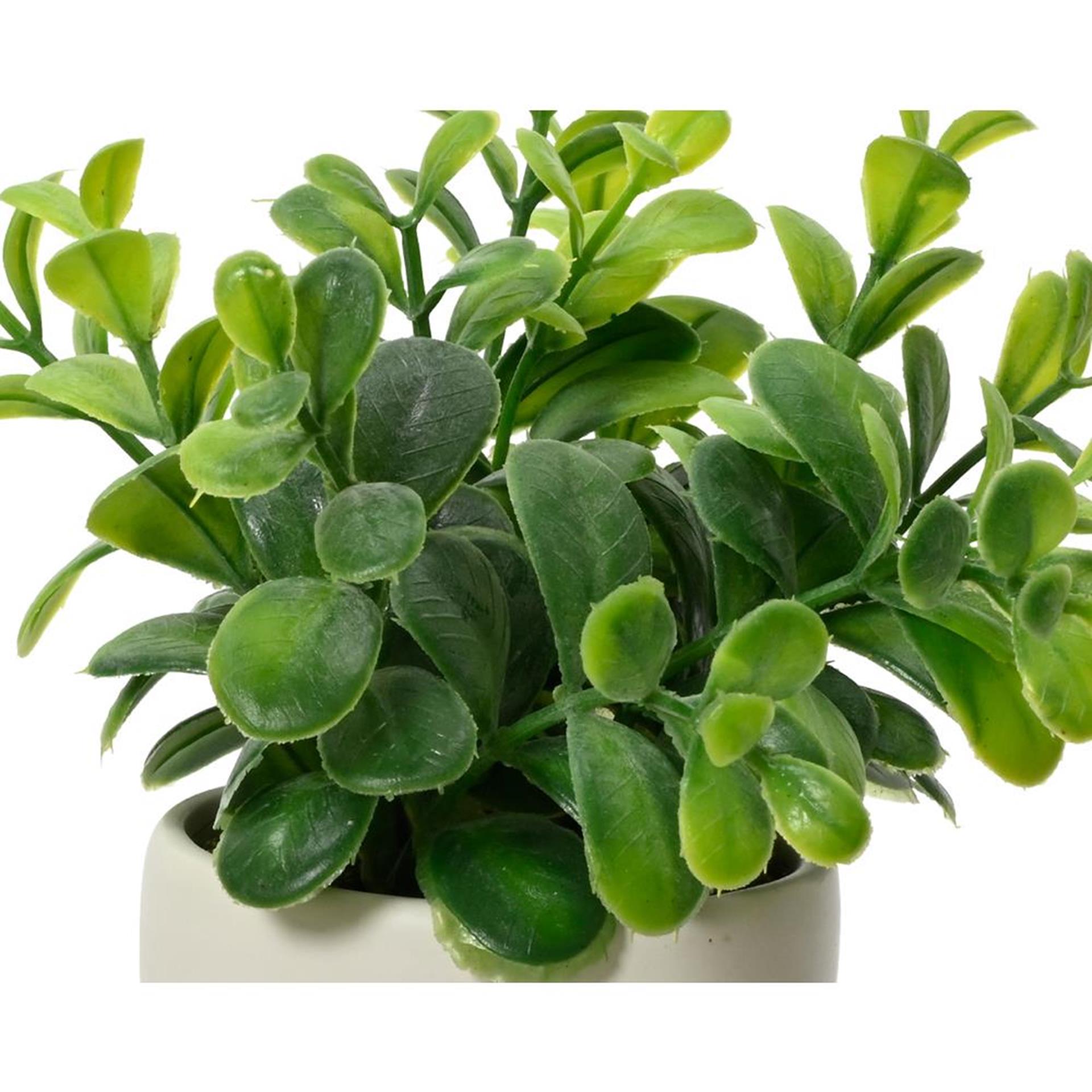 Plante artificielle Decoris en pot corps h16cm