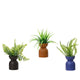 Decoris plante artificielle verte h23cm 3 assortis
