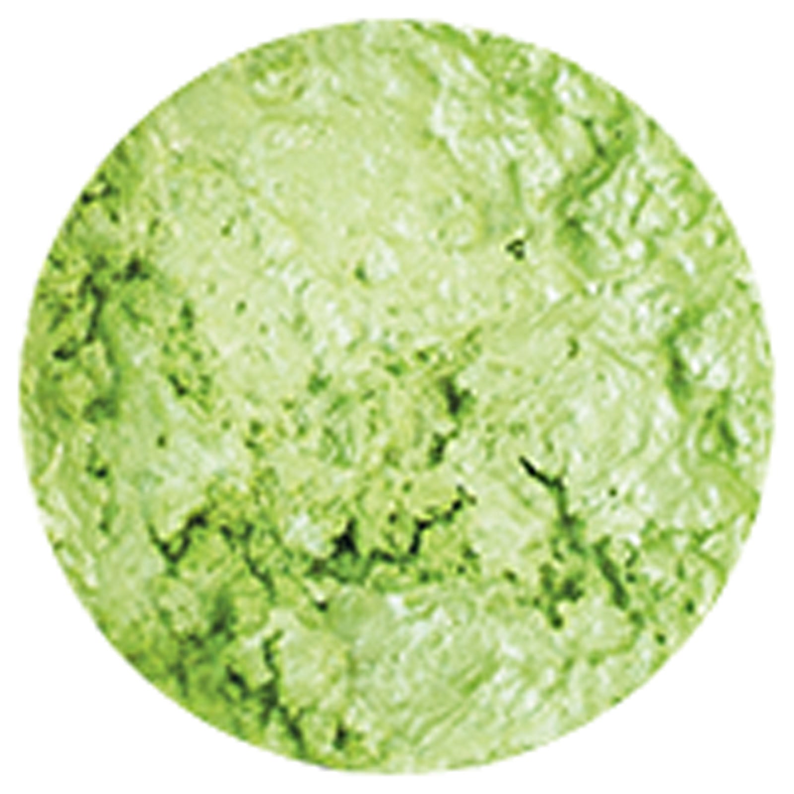 Nuvo by tonic studios nuvo • mousse d'embellissement vert printemps