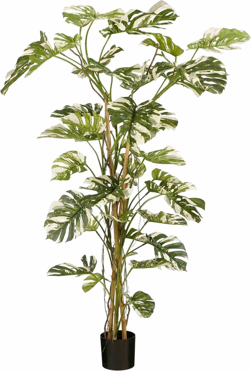 Mica decorations plante artificielle monstera - 145x145x190 cm - polyester - vert