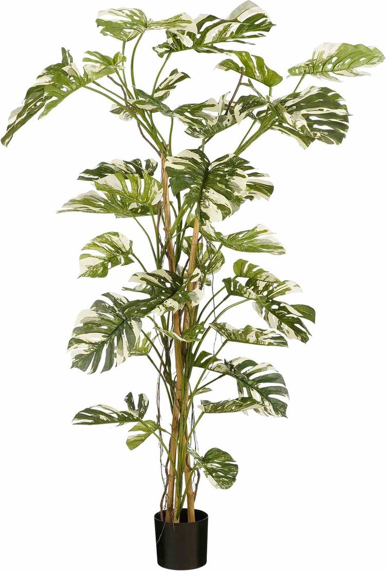 Mica decorations plante artificielle monstera - 145x145x190 cm - polyester - vert