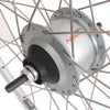 Roue arrière 28 Nexus 8 moyeu de brake à rouleaux avec jante argentée et rayons en acier inoxydable