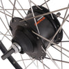 Roue arrière 28 NEXUS 8 HUB ROLLERBRAKE avec jante noire et rayons en acier inoxydable