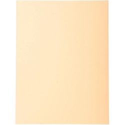 Dossier de tri exacompta 420002e 170 g m saumon a4