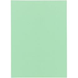 Dossier de tri bangali exacompta 85004e papier recyclé 60g m2 31x22cm vert vif